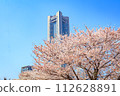 [Urban landscape of Kanagawa] Cherry blossoms around Minato Mirai 112628891