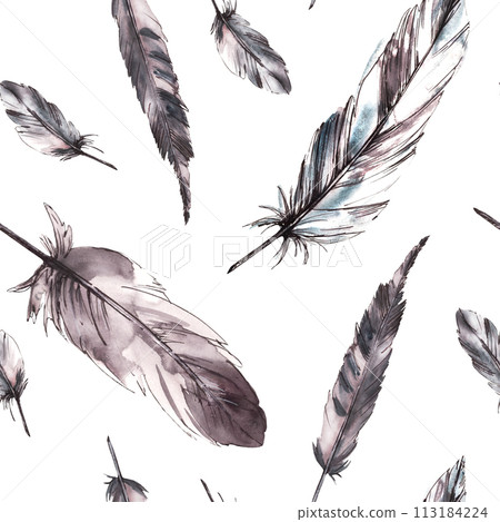 Watercolor bird feathers seamless pattern with monochrome feathers, grey black color with graphic ink line. Quills wings drawing illustration Wallpaper wrapping fabric print. Isolated white background 113184224