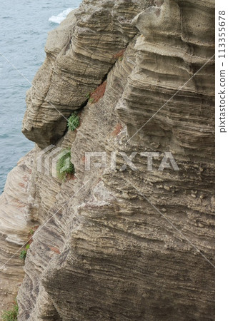 Dogashima, near Kameiwa Observation Point, Izu Peninsula Geopark, underwater debris flow deposits 113355678