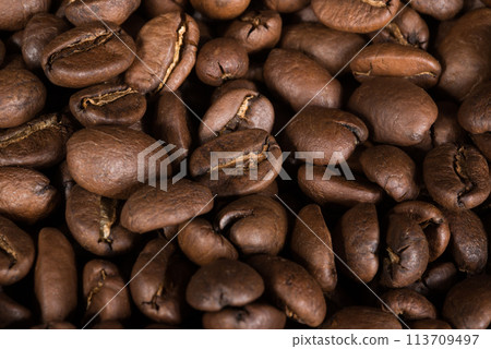 Bunch of coffee grains from Mexico 113709497