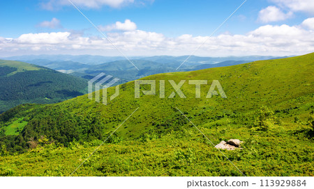 alpine grassy hills. carpathian landscape of ukraine on a sunny summer day. mountainous scenery with view in to the distant valley beneath a blue sky with fluffy clouds 113929884