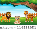 Happy wild animal cartoon in a beautiful green forest 114538951