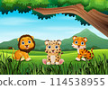 Baby wild animal cartoon in a beautiful green forest 114538955