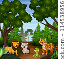 Cute wild animals cartoon in the jungle 114538956