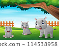 Cartoon rhinos playing in the jungle 114538958