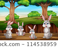 Cartoon rabbits playing in the jungle 114538959