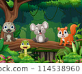 Cartoon wild animals in the jungle 114538960