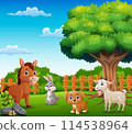 Cute farm animals cartoon in the jungle 114538964