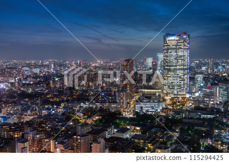 [Tokyo] Tokyo skyline/city night view 115294425