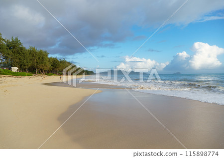 A serene beach setting with a backdrop of blue skies and fluffy clouds 115898774