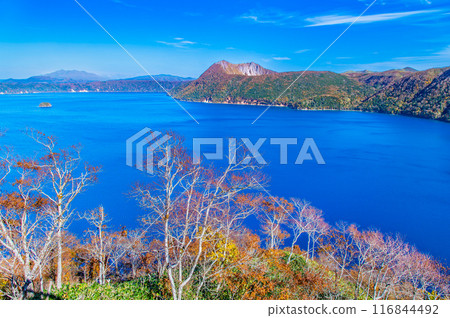 北海道摩週湖的紅葉～藍色的摩週湖面和色彩繽紛的紅葉～ 116844492