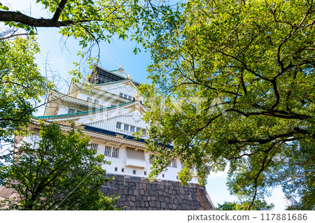 A view of Osaka Castle through the trees 117881686