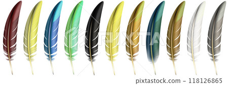 Color feathers, soft bird plumage isolated on white background. Raster Illustration. 118126865