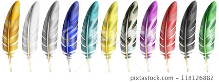 Color feathers, soft bird plumage isolated on white background. Raster Illustration. 118126882