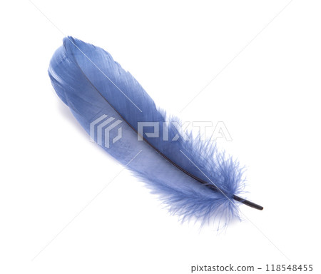 Fluffy bird feather decorative style in studio isolated on the white 118548455