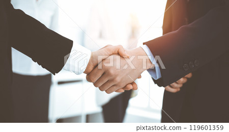 Businessman and woman shaking hands with colleagues at the background. Handshake at meeting in sunny office 119601359