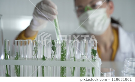 Woman scientist and researcher, wearing a lab coat, green protective gloves and face mask holding a test tube with plants inside, close up. Science concepts 119631961