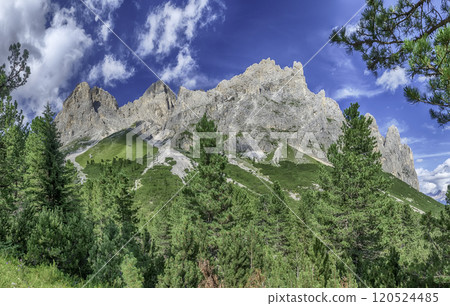 Lush forest at the foot of the Rosengarten Group, Dolomites 120524485