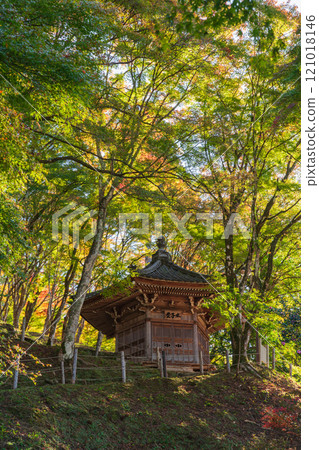 Korankei covered in autumn leaves 2024 Toyota City, Aichi Prefecture 121018146