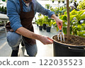 Young bearded man working with plants in a greenhouse 122035523