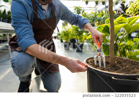 Young bearded man working with plants in a greenhouse 122035523