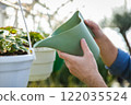 Greenhouse workers watering flowers in a glasshouse 122035524