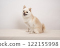 White background and smiling miniature pomelo Momo 122155998