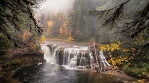 Tall trees reflecting on calm body of water in landscape photography. Forest River Waterfall Nature Hd Wallpaper