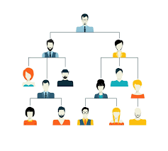 Organization chart of the world bank effective january 1, 2014 *dotted line to sr. Typical Hierarchy Of Investment Banks Overview And Description