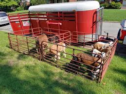 Petting zoos are fun, but it's important to remember that animals sometimes carry germs that can be harmful to people. Rent A Petting Zoo Barnyard Party Farm Birthday Party