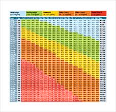 Bmi Chart Templates 8 Download Free Documents In Pdf Word