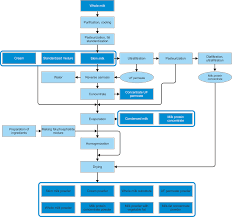 Flowchart Of Milk Processing Milk Processing Process