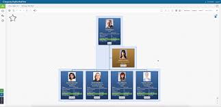 Organizational Chart Maker Orgplus Realtime Professional