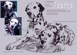 She first appeared in the original book by dodie smith as a stray dog adopted by the radcliffes. Pongo And Perdy By Goldieretriever On Deviantart