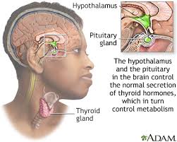 Everything you need to know about thyroid problems, its symptoms, causes, treatment and how to deal with the thyroid problems. Hyperthyroidism Overactive Thyroid Symptoms And Causes