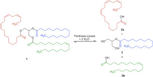 Pfam Family Lipase Pf00151