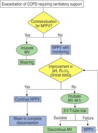 Standards For The Diagnosis And Treatment Of Patients With