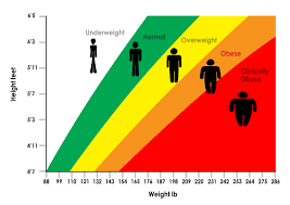 Misused Or Misunderstood The History Of The Body Mass Index