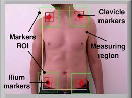 Muscle diagrams of major muscles exercised in weight training. Detection Region Of Interest Roi And Measuring Area On The Patient S Download Scientific Diagram