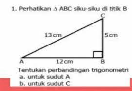 Sudut lurus adalah sudut yang ukurannya 180⁰. Perhatikan Segitiga Abc Siku Siku Di Titik B Tentukan Perbandingan Trigonometria Sudut Ab Sudut Brainly Co Id