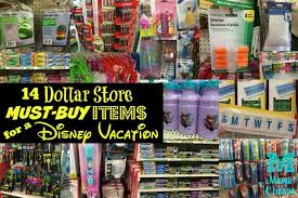 A dollar for a brush, you can't go wrong! 14 Dollar Store Must Buy Items For A Disney Vacation Mama Cheaps