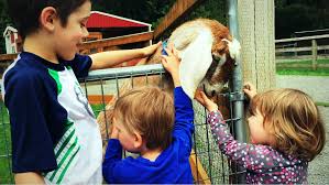 If you are wondering where is a great petting zoo near me where my kids can get up close and pet animals, we have a great list for you. 7 Best Family Farms And Petting Zoos Seattle S Child