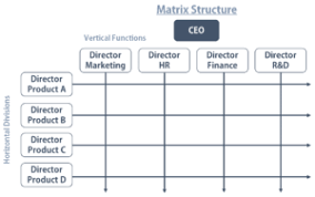 The organizational design of a bank: Corporate Structure Different Types Of Organizational Structures