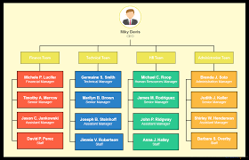 The world bank provides financial and technical support to developing countries. Types Of Organizational Charts Structure Types For Companies