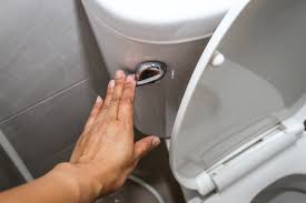 As a result, the toilet will not stop making noise and leaking water. Flush Your Toilet Even If The Water Is Shut Off