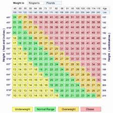 Bmi Chart Children Sada Margarethaydon Com