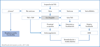 La trombosis venosa se puede manifestar de dos formas; La Trombosis Venosa Superficial No Es Una Enfermedad Benigna