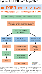 2016 Update Of Copd Foundation Pocket Guide Journal Of