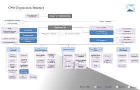 Organizational Structure