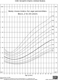 Body Mass Index Wikipedia